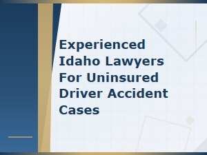Idaho Uninsured Driver Accident Compensation Options